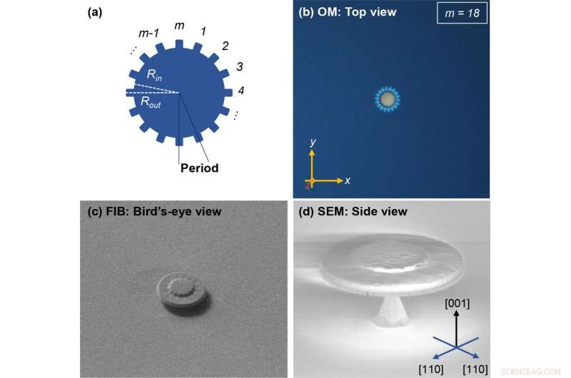 Harnessing Light Twisting for Ultra‑High‑Bandwidth Data Transmission