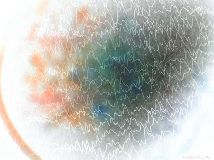 Next-Gen Scientists: Mastering Modelling and Analysis of Complex Systems