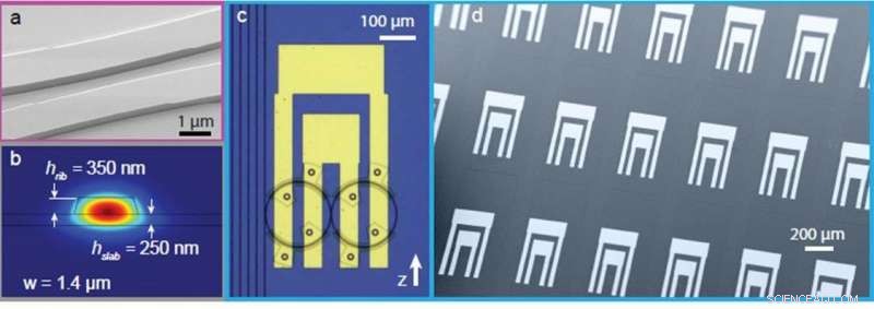 Electrically Programmable Photonic Molecule: Dynamic Control of Microring Resonators