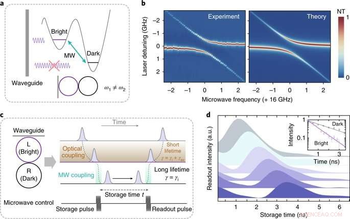 Electrically Programmable Photonic Molecule: Dynamic Control of Microring Resonators