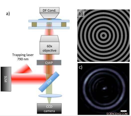 Reactive Optical Matter: Harnessing Light for Precise Motion