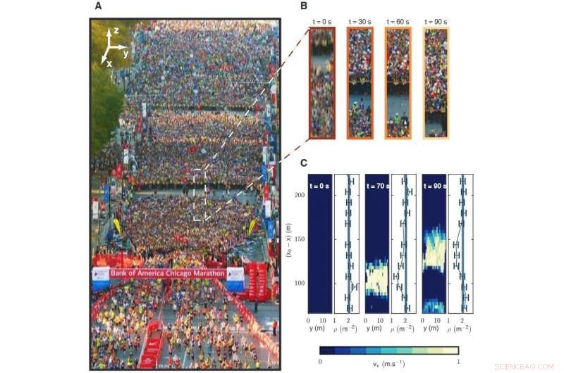 Hydrodynamic Model of Crowd Movement: A New Framework
