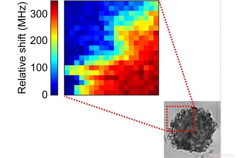 Assessing Tumor Stiffness with Brillouin Light Scattering