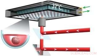 Assessing Tumor Stiffness with Brillouin Light Scattering