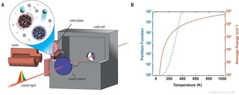 Precise Rovibrational State Mapping of C60 Fullerene via Cryogenic Comb Spectroscopy