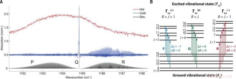Precise Rovibrational State Mapping of C60 Fullerene via Cryogenic Comb Spectroscopy