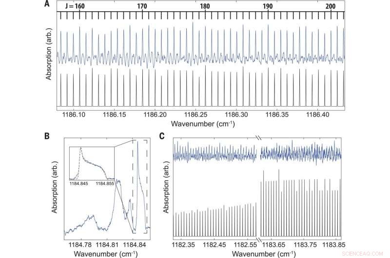 Precise Rovibrational State Mapping of C60 Fullerene via Cryogenic Comb Spectroscopy