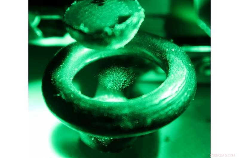 Build a 3‑D‑Printed Particle Trap Using Free CERN Schematics