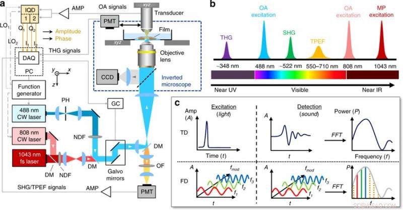 Hybrid Optoacoustic and Multiphoton Microscopy with Multi-Frequency Capabilities