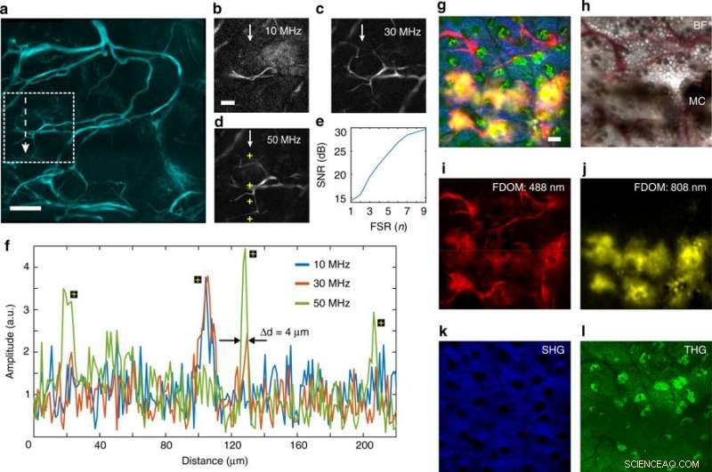 Hybrid Optoacoustic and Multiphoton Microscopy with Multi-Frequency Capabilities