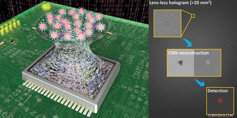 AI-Driven Detection of Viruses Using Deep Learning and Holographic Imaging