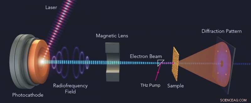 Terahertz Light Enables Rapid Switching of Exotic Properties in Topological Materials