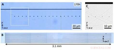 Precision 3D Femtosecond Laser Nanolithography for Advanced Crystal Engineering