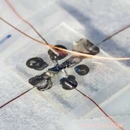 Exploring Weyl Semimetals: New Frontiers in Quantum Materials