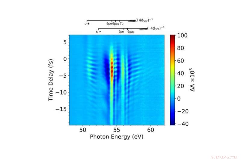 Molecular Dynamics in Laser Fields: Exploring Light-Molecule Interactions