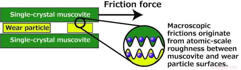 Uncovering the Source of Macroscopic Friction in Clay Mineral Interfaces