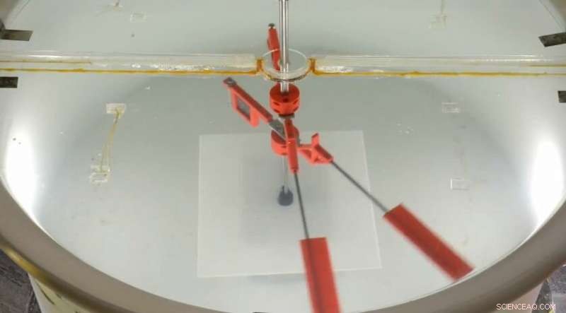 Fish and Birds Coordinate by Riding Their Leaders’ Wakes: Scientists Unveil the Mechanism