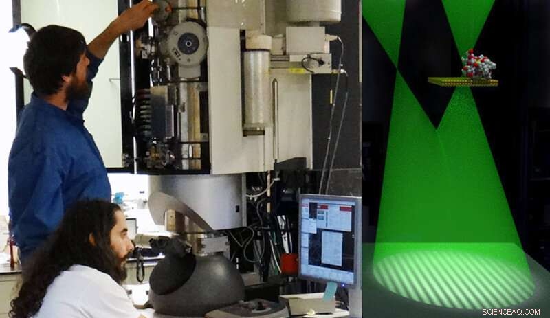 Advances in Scanning Transmission Electron Microscopy for Medical and Materials Research