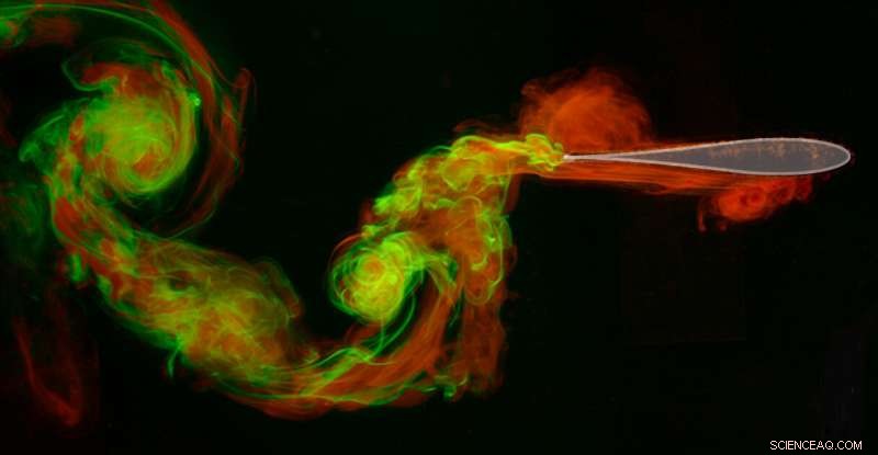 Scientists Experimentally Emulate Evolution to Identify Optimal Wing Shape for Flight