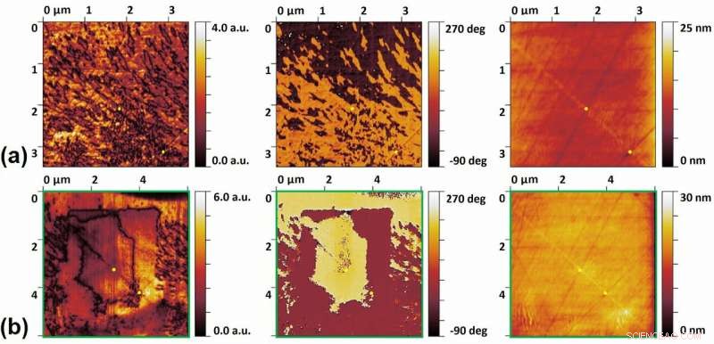 Laser-Engineered Ferroelectric Crystals Embedded in Glass