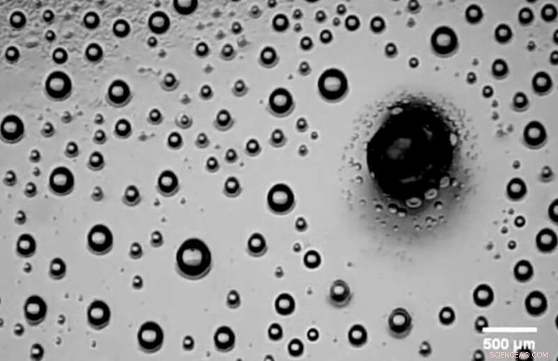 Revolutionary Micro‑Droplet Capture for Advanced Biomedical Analysis