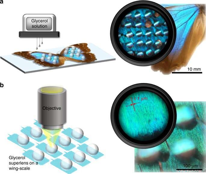 Biophotonics Breakthrough: Printing Liquid Superlenses for Ultra‑High‑Resolution Imaging of Butterfly Wings and Nanobiostructures