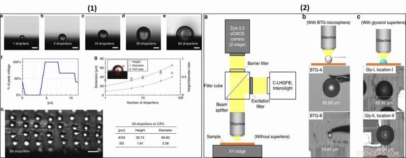 Biophotonics Breakthrough: Printing Liquid Superlenses for Ultra‑High‑Resolution Imaging of Butterfly Wings and Nanobiostructures
