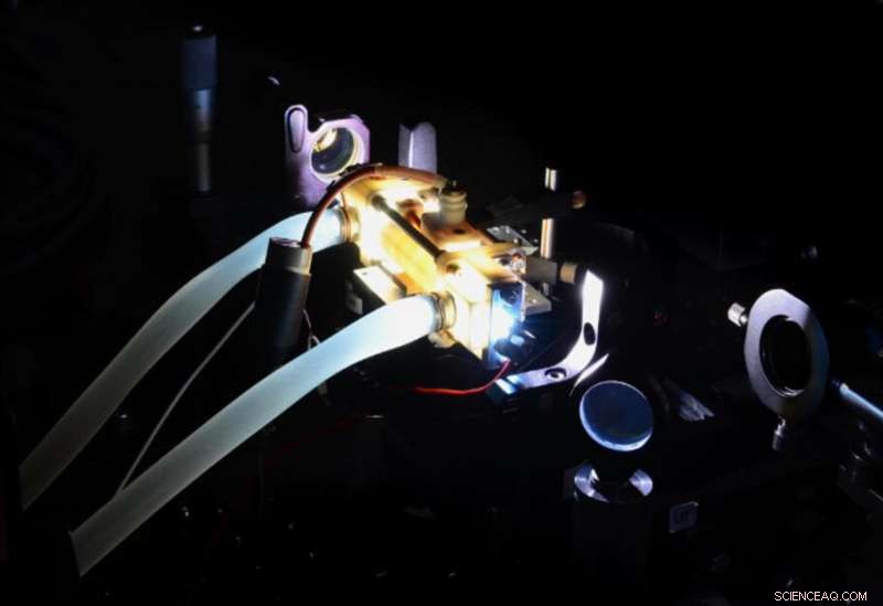 Scientists Generate Fractal Light Patterns Using Laser Technology