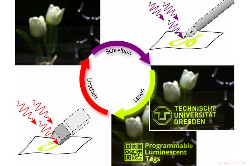 Invisible Tags: Physicists Harness Light to Write, Read, and Erase Data