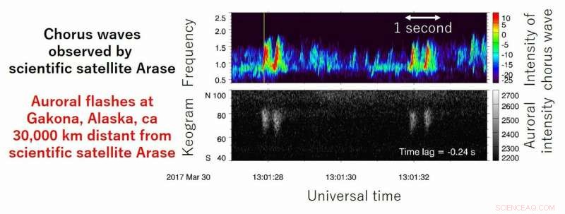 Mapping Electromagnetic Wave‑Plasma Interactions Around Earth with Arase Satellite and Ground Networks