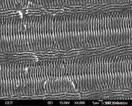 Pushing the Limits: How Ultrafast Lasers Shape the Future of Light Technology