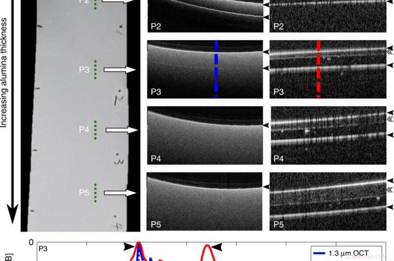 Longer Wavelengths Extend OCT Imaging Depth