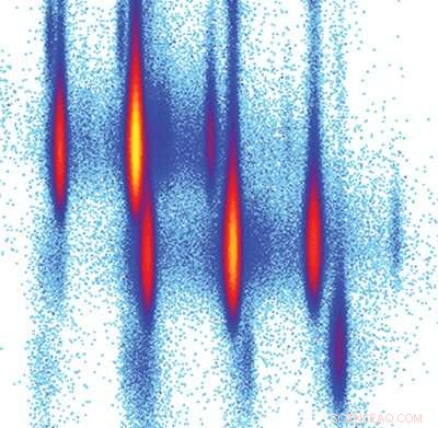 Exotic Magnesium Isotope Reveals Unexpected Shape‑Shifting Behavior