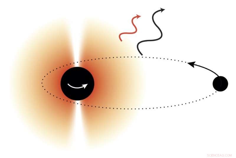 Unveiling New Particles Through Black Hole Observations