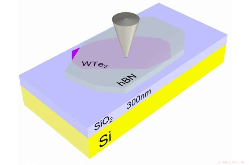 Scientists Map Conducting Edge States in Promising 2‑D WTe₂ Material