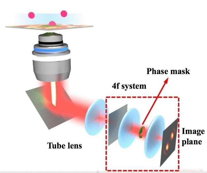 Rice University Revolutionizes 4‑D Microscopy by Shaping Light in 2‑D Cameras