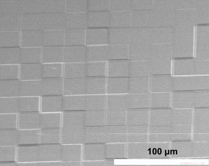 Rice University Revolutionizes 4‑D Microscopy by Shaping Light in 2‑D Cameras