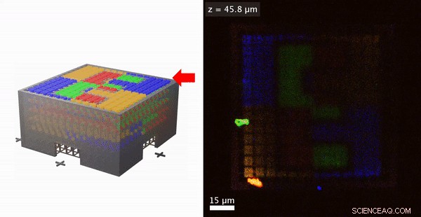 Advanced Multimaterial 3‑D Laser Microprinting with Integrated Microfluidic Systems