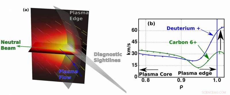 Unveiling Unexpected Ion Dynamics in Tokamaks