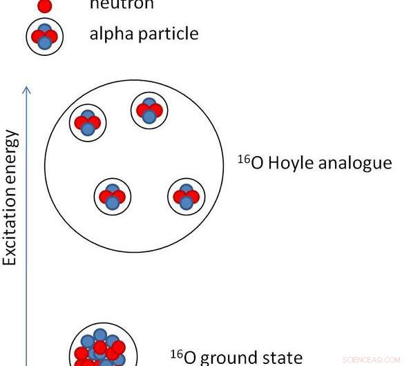 Exploring Alpha-Particle Condensates in Oxygen Nuclei