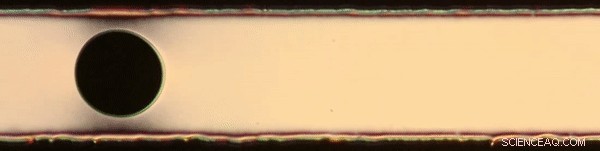 Engineering Stable Structures in Pure Liquids