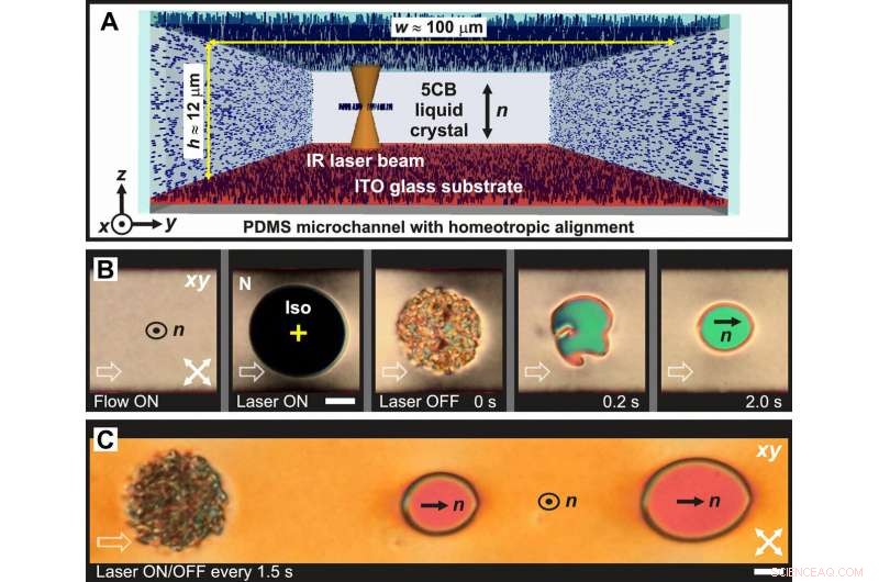Engineering Stable Structures in Pure Liquids