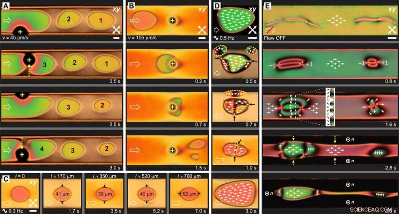 Engineering Stable Structures in Pure Liquids