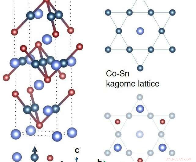 Exploring a Quantum Magnet with a Topological Twist: Kagome Lattice Physics Revealed
