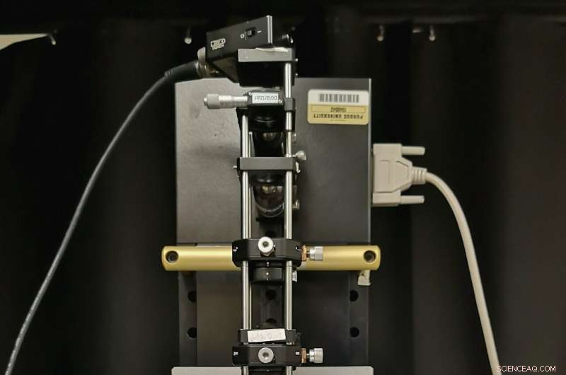 Purdue University’s New 3D Microscopy Enhances Drug Discovery & Safety Screening