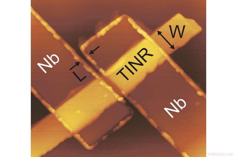 Immunizing Quantum Bits for Robust Quantum Computing