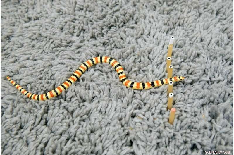 Sand-Slithering Snakes Mimic Light Waves – A Fascinating Study