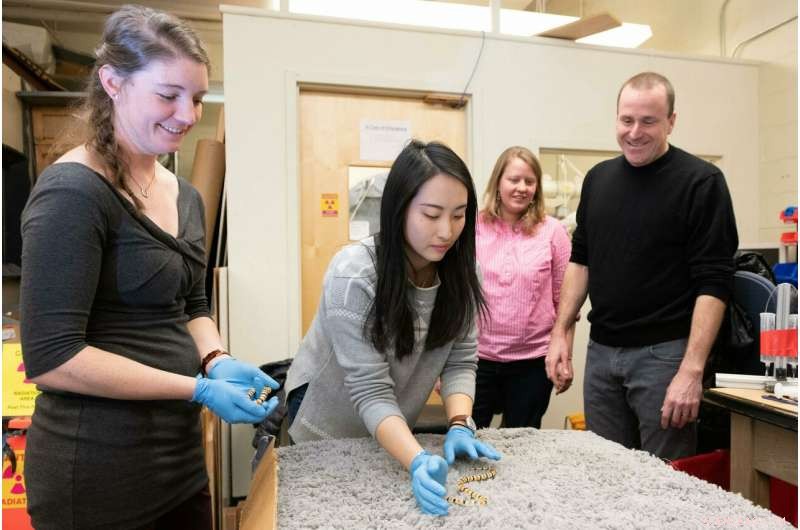 Sand-Slithering Snakes Mimic Light Waves – A Fascinating Study