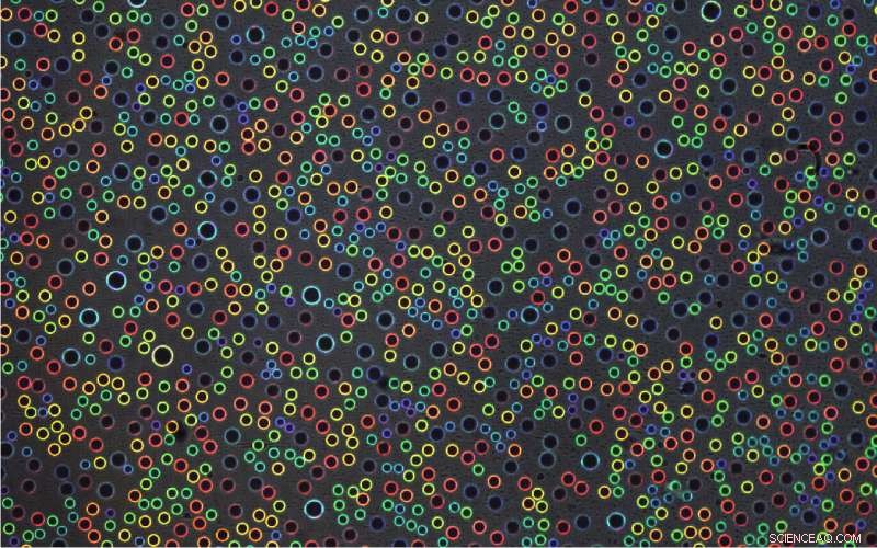 Engineers Create Transparent Droplets That Emit Iridescent Colors