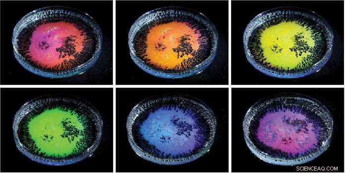 Engineers Create Transparent Droplets That Emit Iridescent Colors